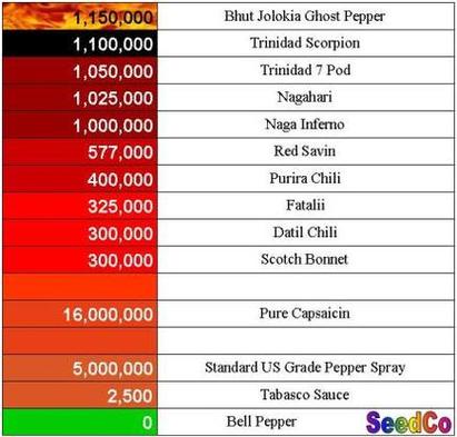 Scoville Scale & Pepper Heat Levels